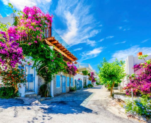 Bodrum Blue Cruise