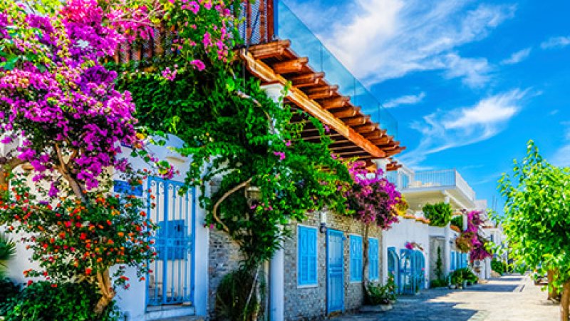 Bodrum Yat Kiralama Rehberi