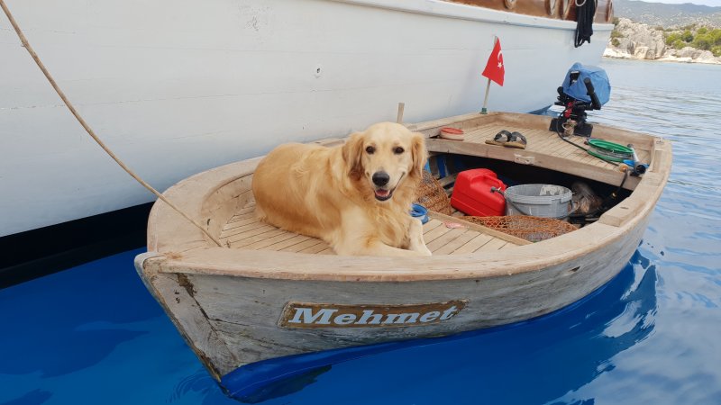 Gökova Mavi Yolculuk