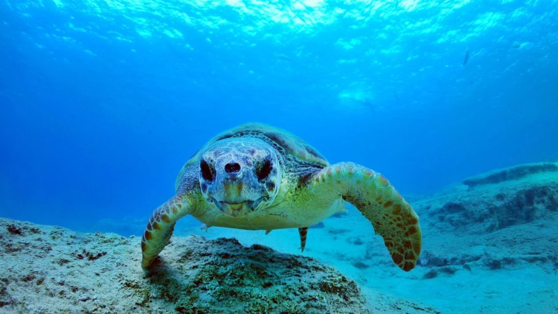 Fethiye | Mavi Yolculuğun Kalbi & Tarihi Güzellikleriyle Keşfedin