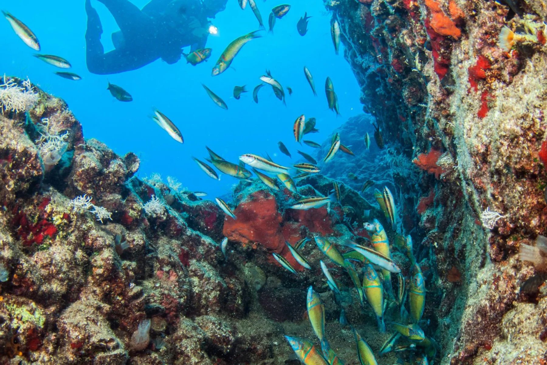 Fethiye - Bodrum Gulet Cruise Route